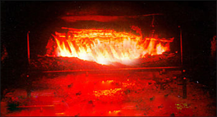 Fireplace Grates